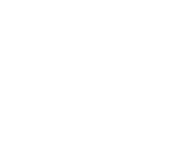 Synergy_white logo 2026